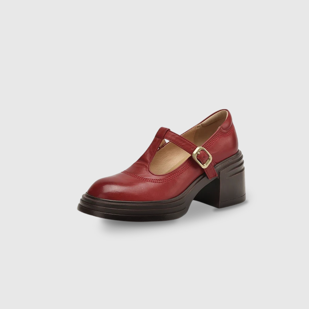 Women's chunky block heel Mary Jane pumps in classic round toe T-strap style with gold buckle detail