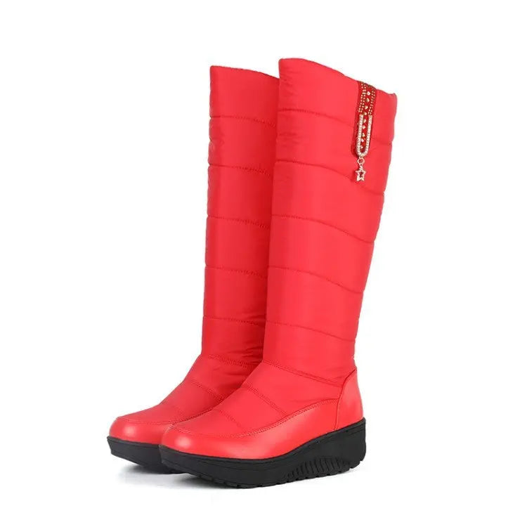 Women's high-top winter boots with plush lining, sleek silhouette, and rubber wedge sole for cold-weather style