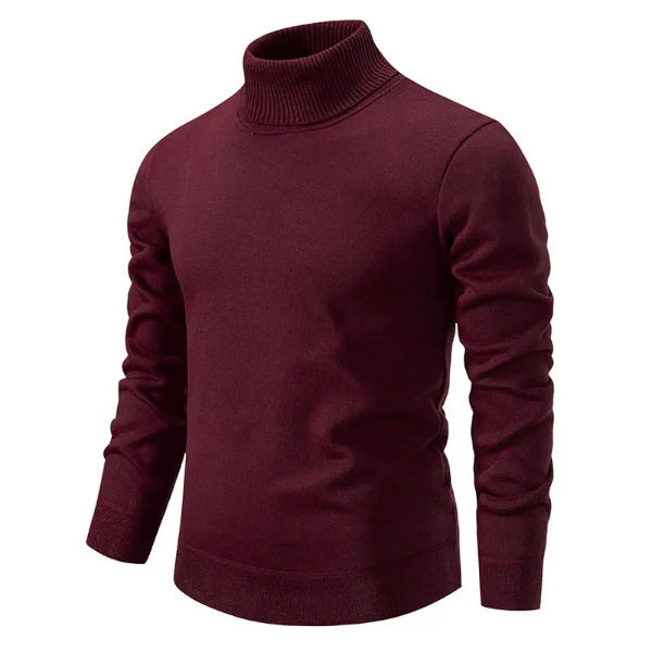 Men's slim fit roll neck pullover in cotton knit with ribbed cuffs and hem, classic style